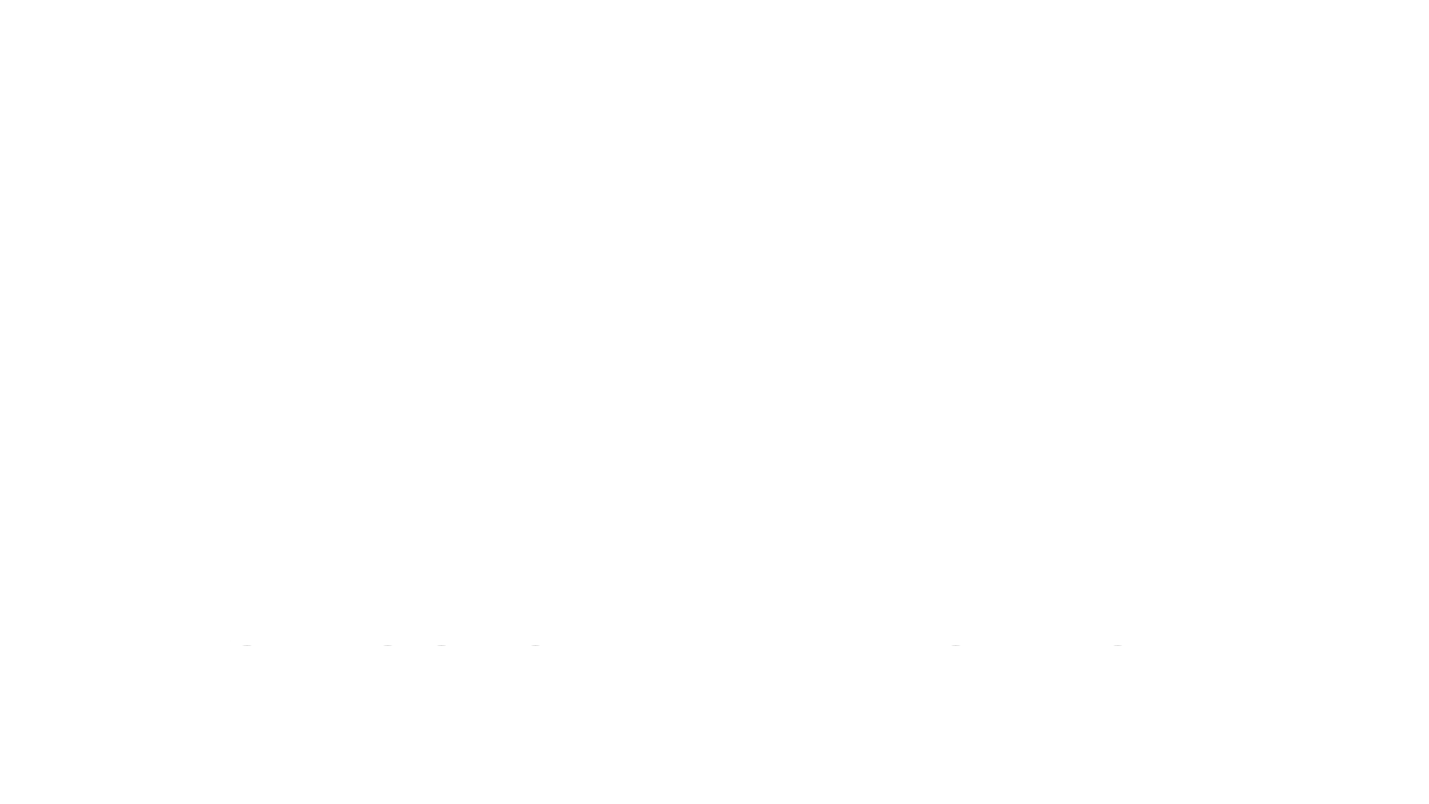 WSF Web Logo